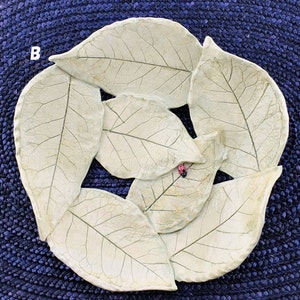 Real Natural leaf imprinted, and assembled Bowl with Ladybug or Snail Peekaboo image 6
