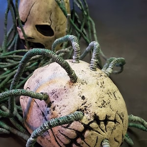 Peut inclure: Deux cr&acirc;nes en c&eacute;ramique blanche avec des vrilles vertes, ressemblant &agrave; une plante parasite, qui poussent de leur t&ecirc;te. Les cr&acirc;nes ont un aspect vieilli et d&eacute;labr&eacute; avec des marques noires.