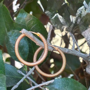 May include: A pair of textured, copper-colored hoop earrings. The earrings are round and have a ridged surface. They are displayed on a small branch, surrounded by green leaves and other foliage. The earrings are a warm, metallic color.