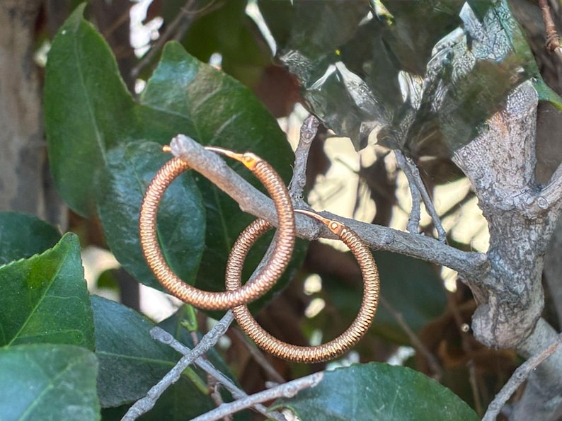 May include: A pair of textured, copper-colored hoop earrings. The earrings are round and have a ridged surface. They are displayed on a small branch, surrounded by green leaves and other foliage. The earrings are a warm, metallic color.