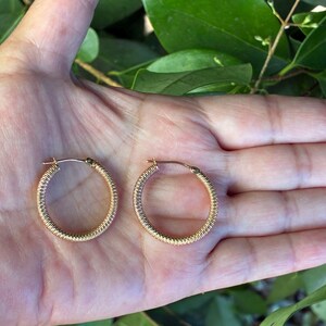 May include: A pair of gold-colored hoop earrings with a textured, ridged design. The earrings are circular and appear to be made of metal. The earrings are displayed on an open palm against a background of green leaves.