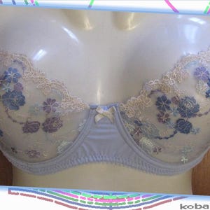 May include: A light blue lace bra with floral embroidery. The bra has a delicate bow in the center and adjustable straps.