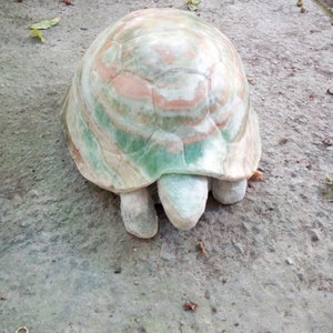 Emerald Onyx Turtle