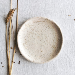 Speckled ceramic plate, Stoneware salad plate irregular, Pottery dessert plate, Side plate, Handmade rustic dinnerware, Luxury wife gift