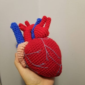 Realistic Actual Size Anatomical Heart | Crocheted Educational Toy | Stuffed Soft Plush | Designed & Made by Mashumaro