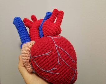 Realistic Actual Size Anatomical Heart | Crocheted Educational Toy | Stuffed Soft Plush | Designed & Made by Mashumaro