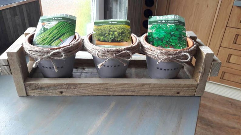 Windowsill Kitchen Herb Garden Grow Your Own Kitchen Garden Etsy