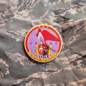 Può includere: Una toppa ricamata di colore viola e rosso con un uccello rosso che vola sopra uno scudo con un uccello bianco e il testo "52nd Tactical Fighter Squadron" e "Stolz" in giallo.