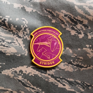 May include: A circular patch with a purple center and a gold border. The patch features a white horse and rider, a shield, and the word "STRIDER". The text "124th TACTICAL FIGHTER SQ." is arched across the top.