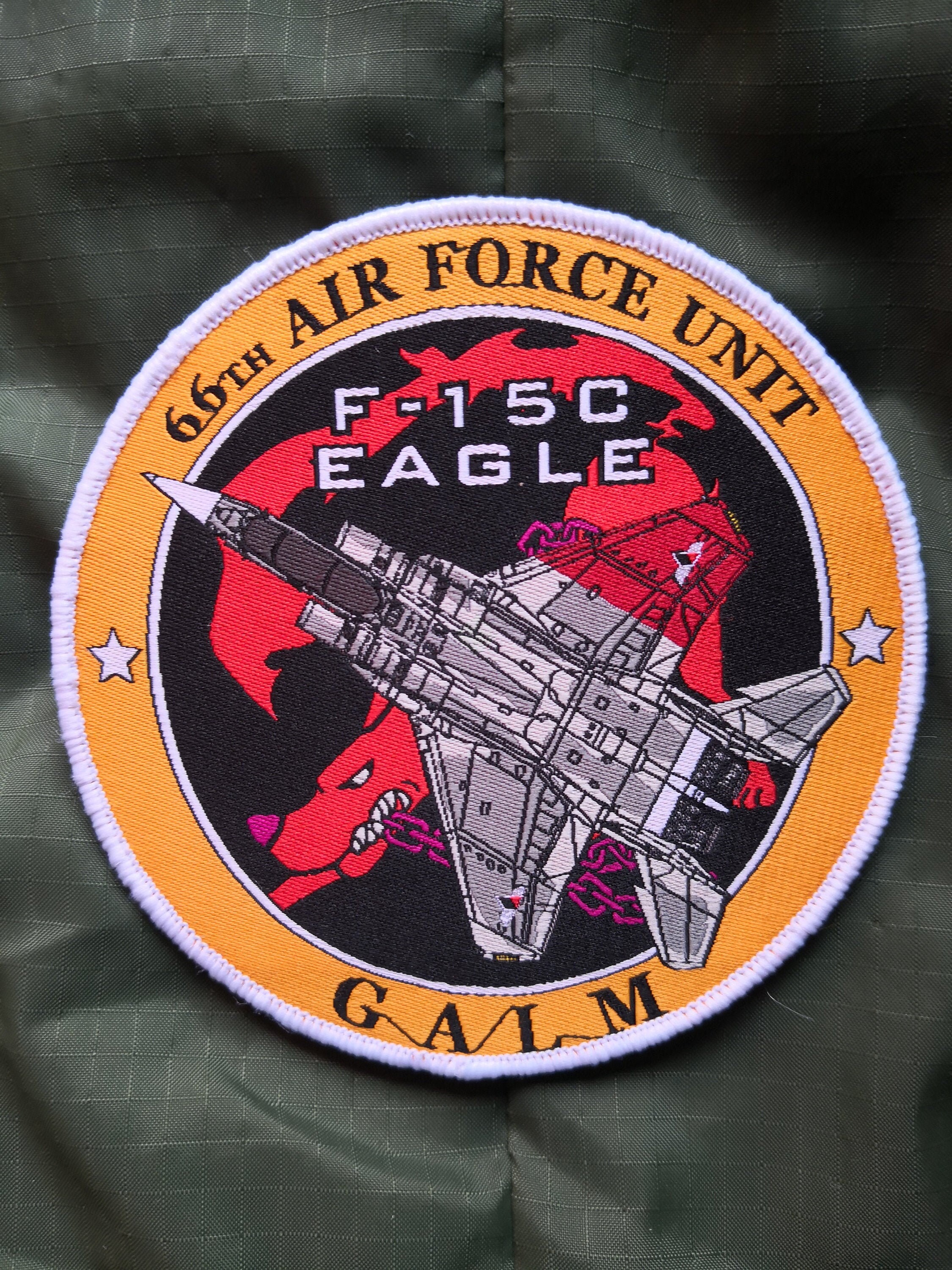 Ace Combat 0: the Belkan War Inspired - F-15C, Galm Team