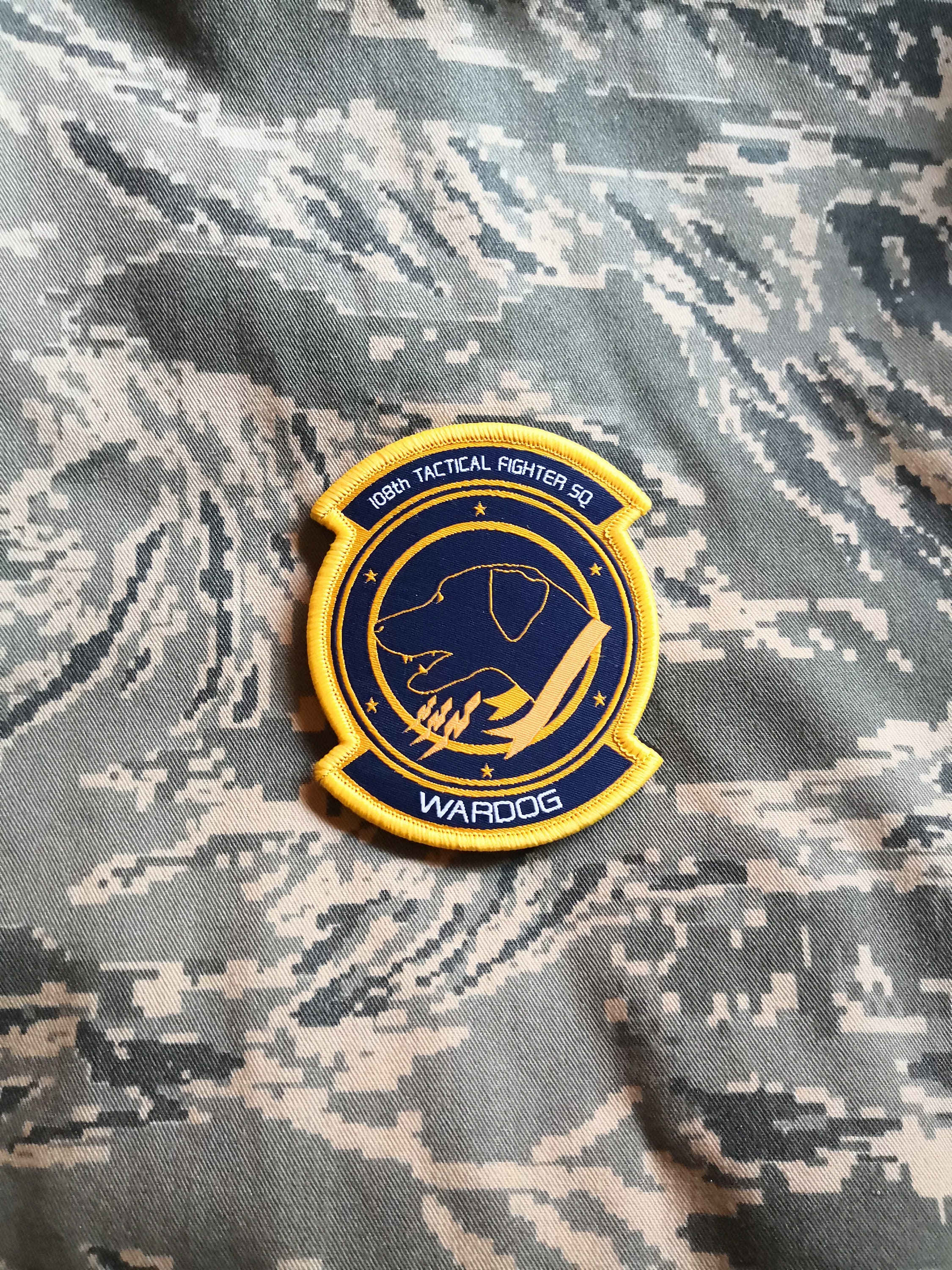 Ace Combat 5 Inspired, Wardog Squadron, Military Morale
