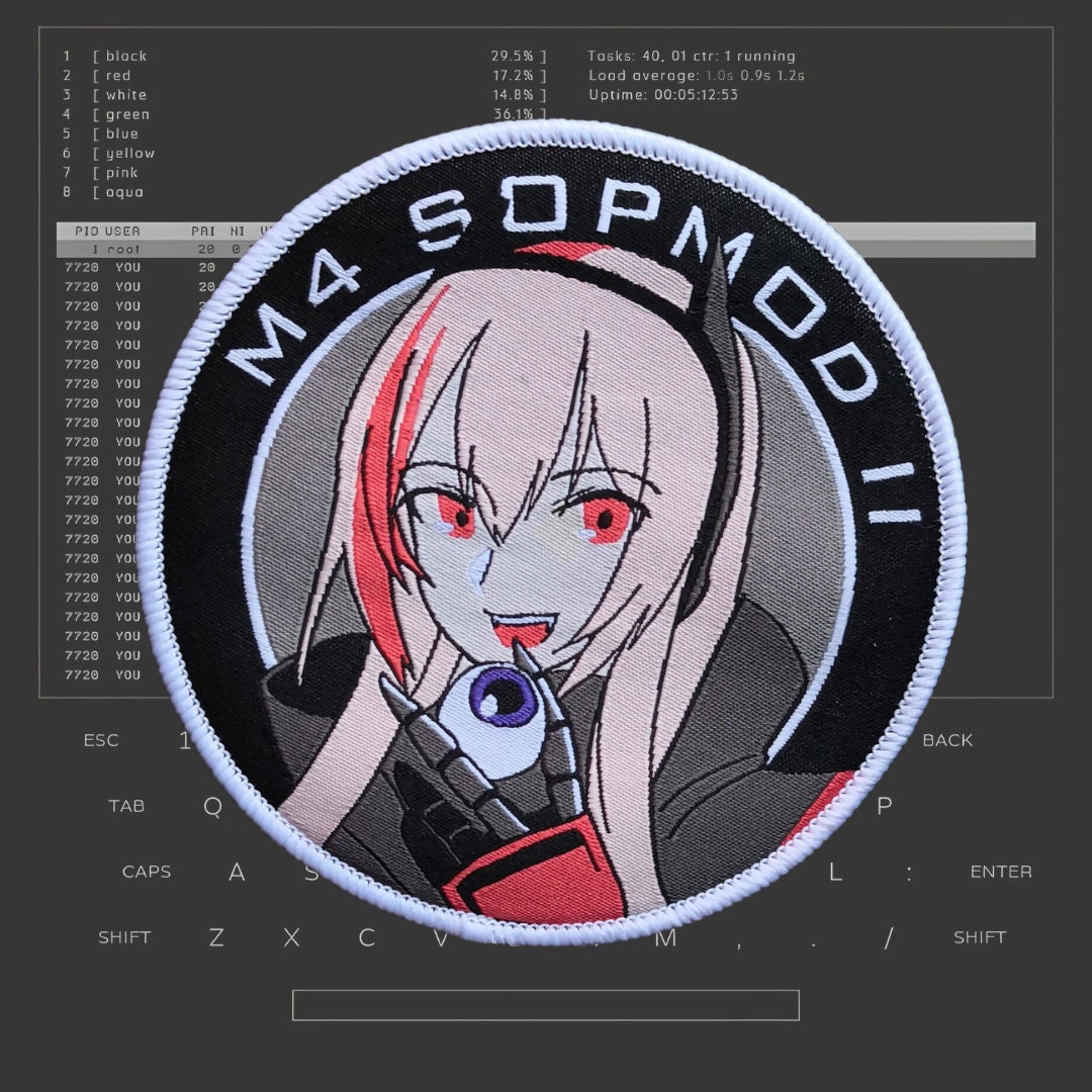 2個セット ドールズフロントライン M4 SOPMOD Ⅱ（オリジナル版） 三体