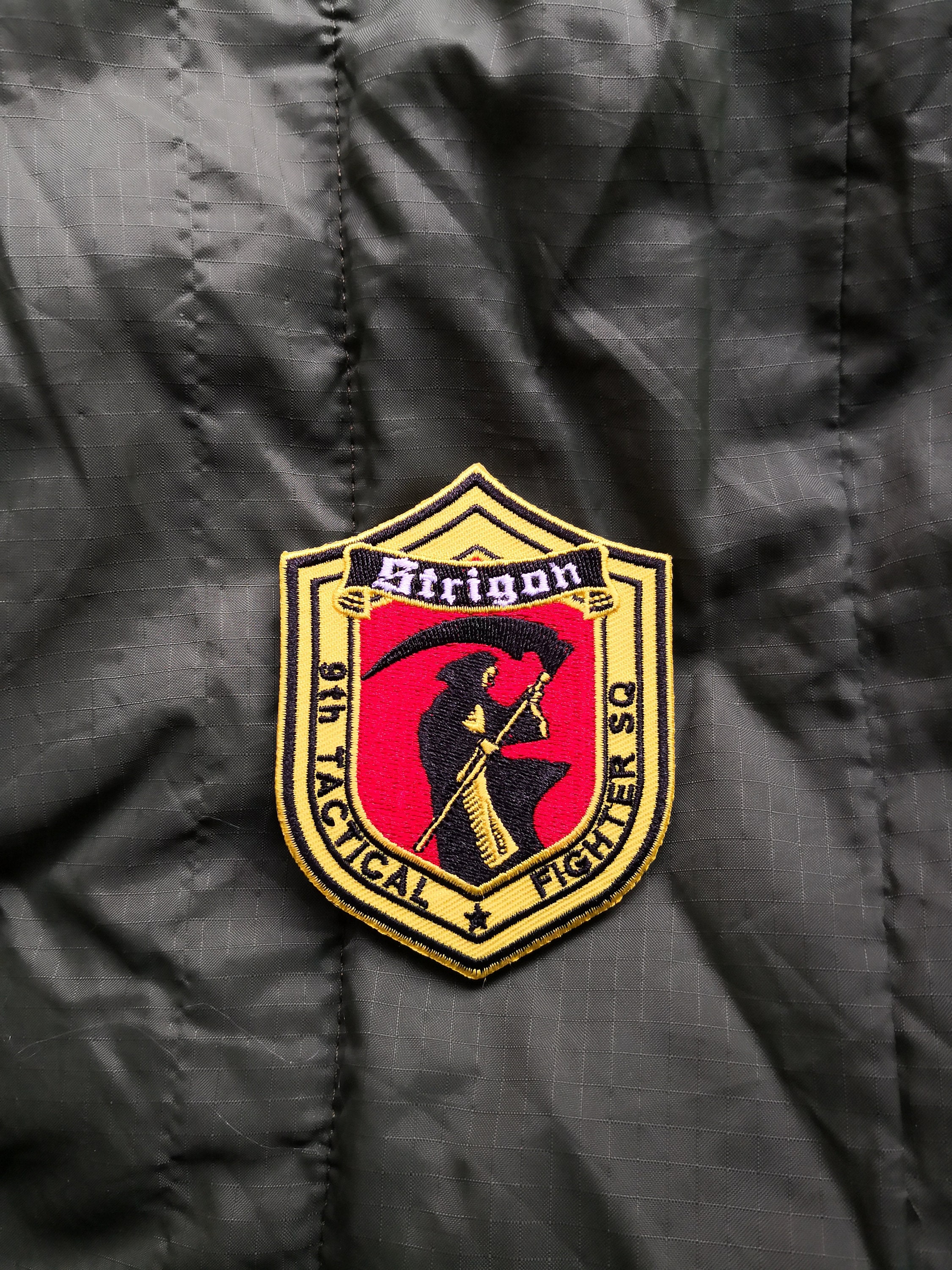 エースコンバット6 解放の炎にインスパイアされた、ストリゴンチーム