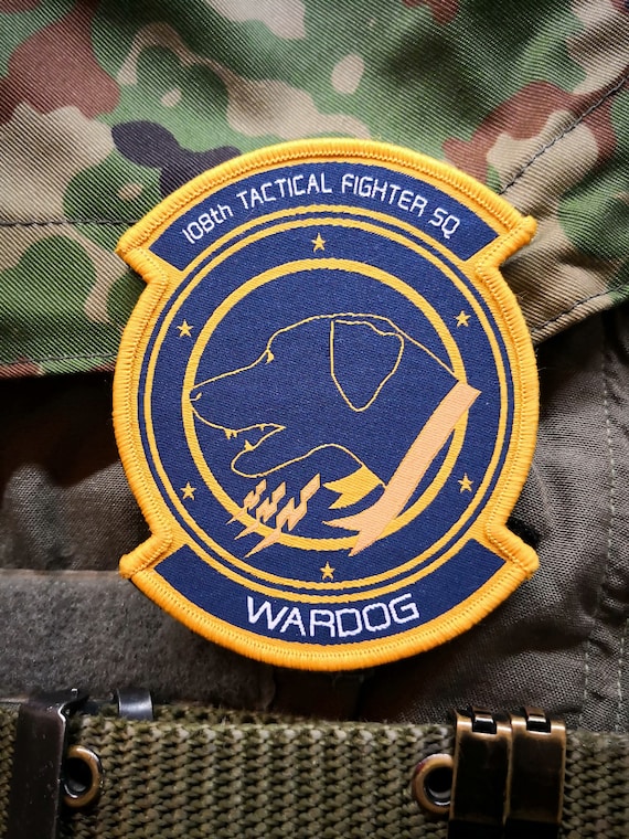 エースコンバット5にインスパイアされた、ウォードッグ中隊、軍の士気
