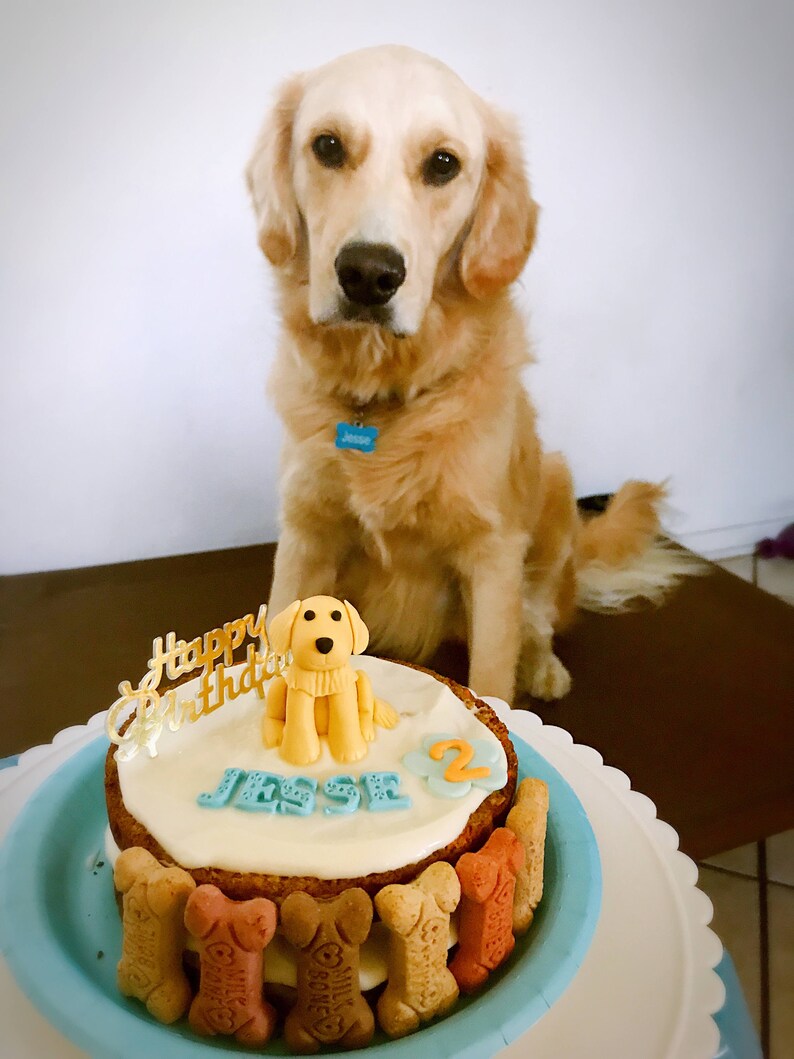 Dog Fondant Cake Topper Golden Retriever Puppy 3D Fondant - Etsy