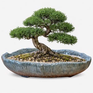 Pode incluir: Ilustração a preto e branco de um gato com uma coroa, com o texto "Queen of Everything". O gato tem uma pose régia, com uma coroa detalhada e um design.