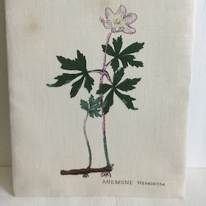 May include: A botanical illustration of a white wood anemone flower with pink accents, green leaves, and brown roots. The text "ANEMONE NEMOROSA" is printed below the flower.
