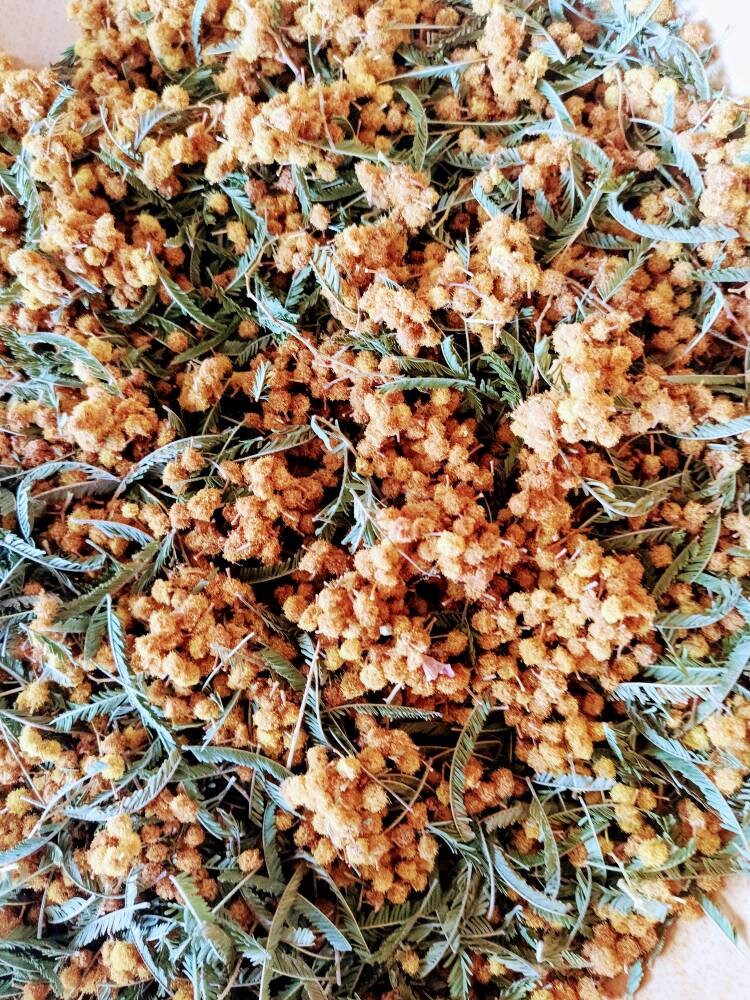 Séchage Multi-Fonction Apollon'