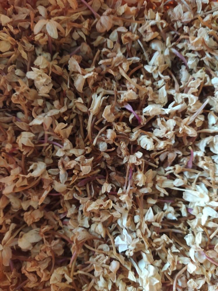 Végétal Magique Séchage Jasmin'