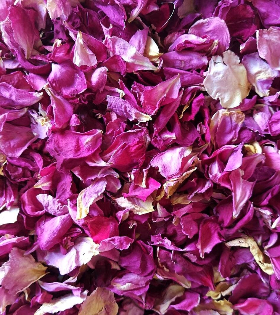 Séchage Multi-Fonction Aphrodite'