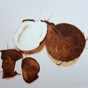 Coconut (original art print  - signed - Limited Edition)