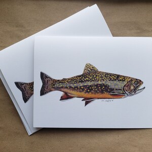 Colored Pencil Fish Brook Trout Greeting Card Set of 5