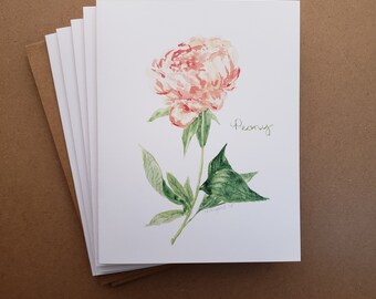 Peony Bloom Watercolor Greeting Card 5 Pack