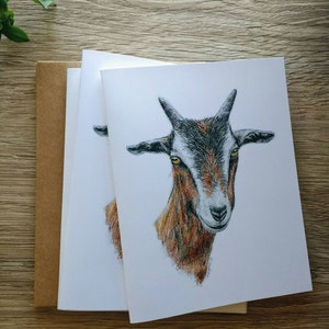 Colored Pencil Goat Greeting Card Set of 5