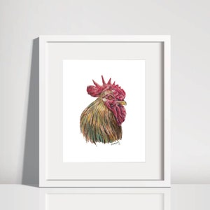 Rooster Colored Pencil Drawing Print 5x7 & 8x10