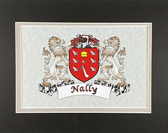 Nally Irish Coat of Arms Print - Frameable 9" x 12"