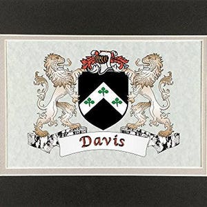 Rustic Leather Fleming Irish Coat of Arms Luggage Tag set of 2