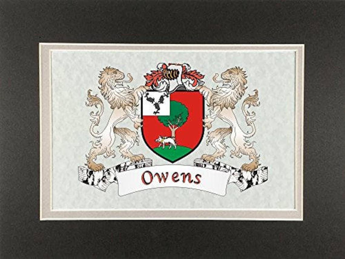 Owens Irish Coat of Arms Print Frameable 9 X 12 Etsy