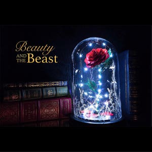 Op de afbeelding: Een decoratieve glazen stolp met een rode roos en fee&euml;rieke lichtjes. De basis is zwart en de stolp is versierd met een bloemenpatroon. De tekst "Beauty and the Beast" staat in goud. Boeken op de achtergrond.