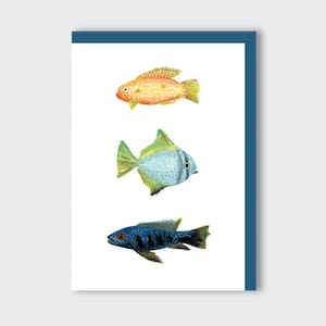 Fish - greeting card - for him