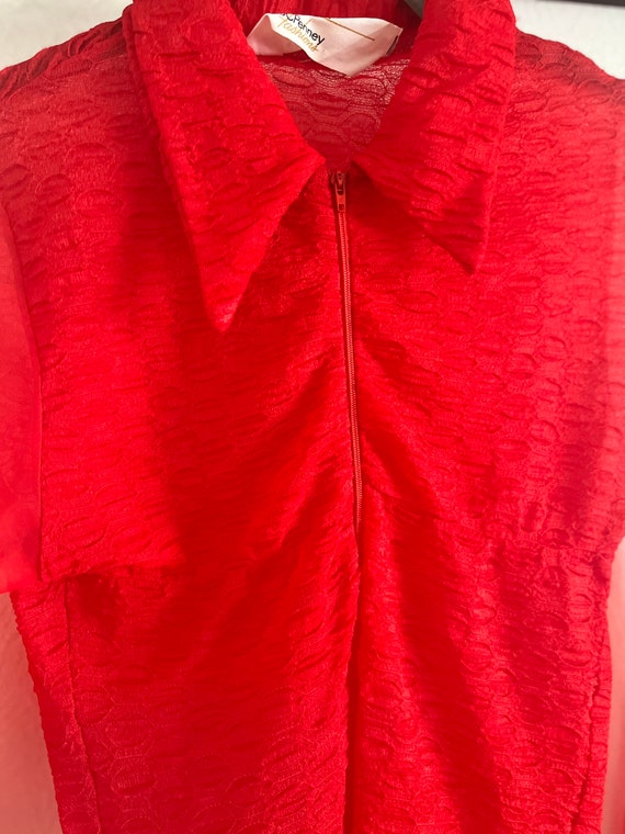 70s Sheer Dagger Collar Blouse Gem