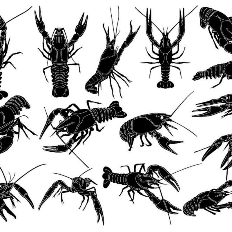 Crawfish Dxf - Etsy