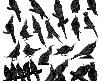 Cockatiel Parrot Bird SVG DXF: CNC Laser Cut Files