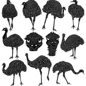 Australian Emu Birds-DXF files and SVG cut ready for cnc machines, laser cutting and plasma cutting