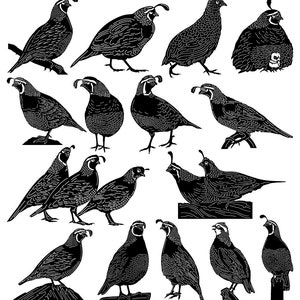 Quail Bird-DXF files and SVG cut ready for cnc machines, laser cutting and plasma cutting