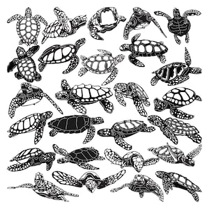 Puede incluir: Una colección de ilustraciones en blanco y negro de tortugas marinas en varias poses. Las tortugas tienen patrones detallados en el caparazón y aletas, sobre un fondo blanco liso. La imagen muestra una variedad de diseños de tortugas.