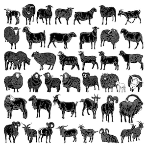 Sheep and Goat SVG DXF Files: CNC Laser Cut Ready