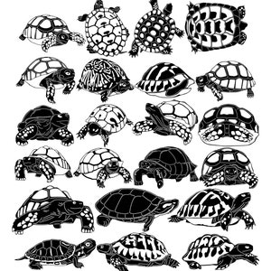 Archivos Turtles-DXF y corte SVG listos para máquinas cnc, corte por láser y corte por plasma