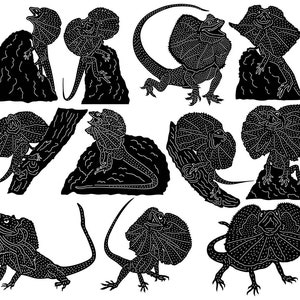 Peut inclure: Illustrations en silhouette noire et blanche de lézards à collerette dans différentes poses. Les lézards sont représentés avec leurs collerettes déployées, mettant en valeur leurs motifs complexes.