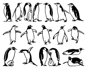 STUDY OF A PENGUIN AQUATIC FLIGHTLESS BIRD PAINTING BY HENRY STACY MARKS REPRO STUDY OF A PENGUIN AQUATIC FLIGHTLESS BIRD PAINTING BY HENRY STACY MARKS REPRO