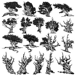 Pini Bristlecone - File DXF e SVG pronti per il taglio per macchine CNC, taglio laser e taglio al plasma