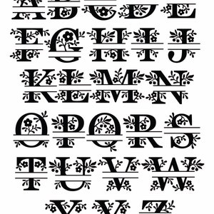 May include: Black and white alphabet letters with floral designs and a horizontal line through the middle of each letter.