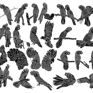 Australische Red Tailed Black Cockatoo-DXF-bestanden en SVG-bestanden, klaar voor cnc-machines, lasersnijden en plasmasnijden