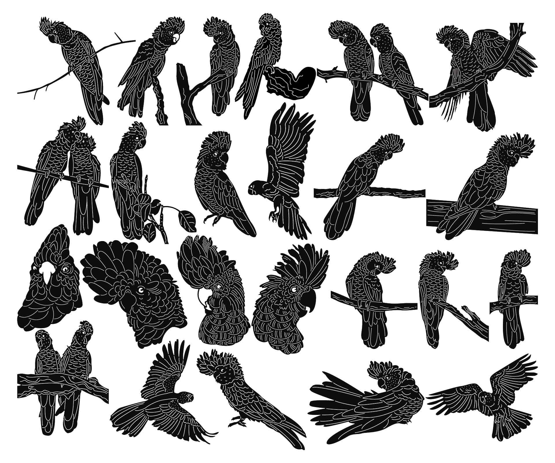 Australian Red Tailed Black Cockatoodxf Files and SVG Cut Ready for