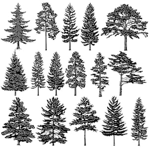 File Pine Trees-DXF e taglio SVG pronti per macchine cnc, taglio laser e taglio plasma