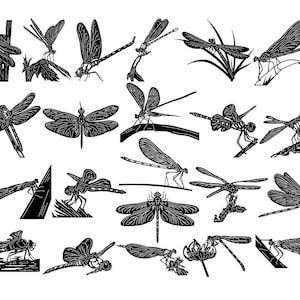Dragonfly-DXF files and SVG cut ready for cnc machines, laser cutting and plasma cutting